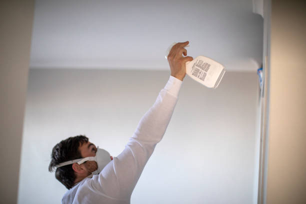 Best Toxic Mold Removal  in Danielson, CT