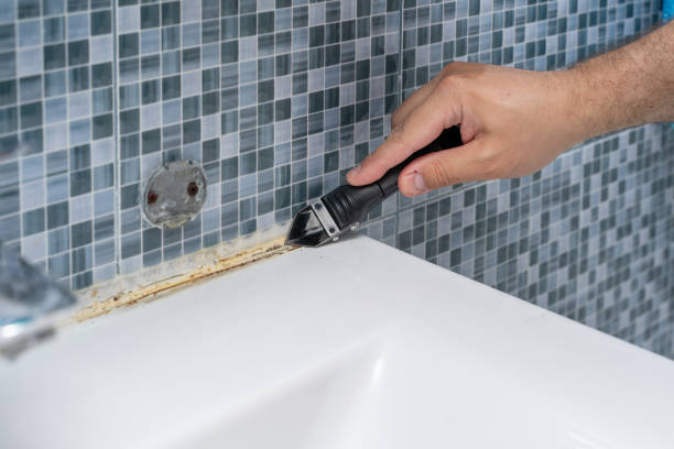 Danielson, CT Mold Removal Company