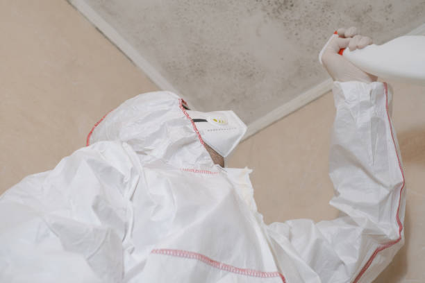 Best Certified Mold Removal  in Danielson, CT